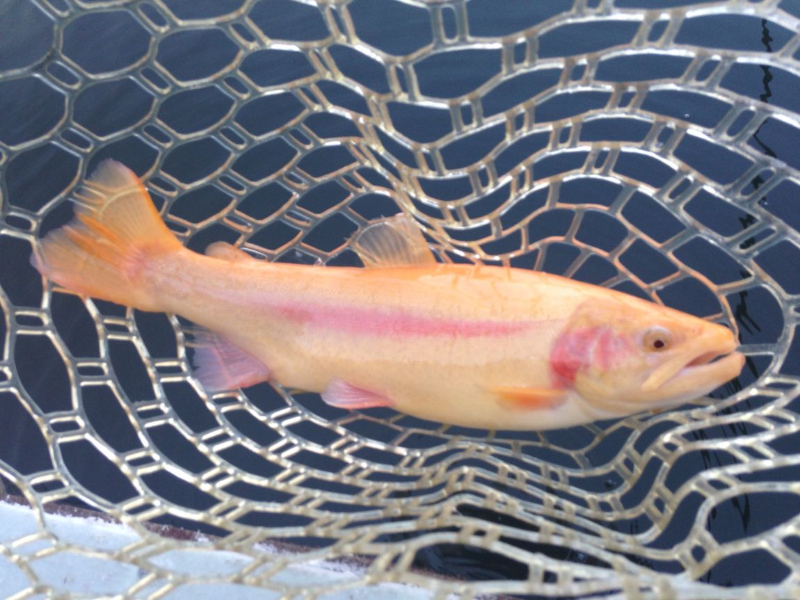 ���� 009.jpg