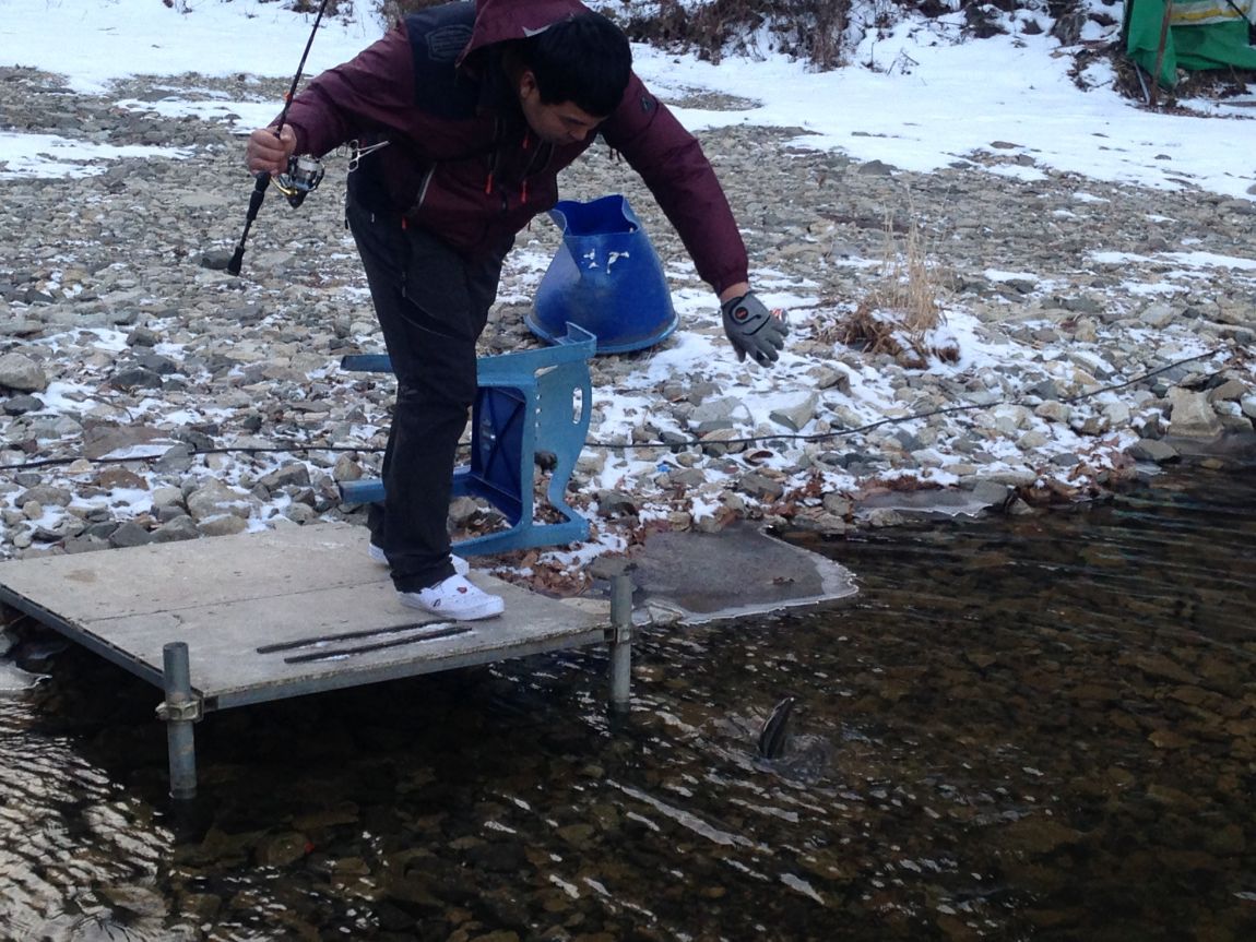 ���� 010.jpg