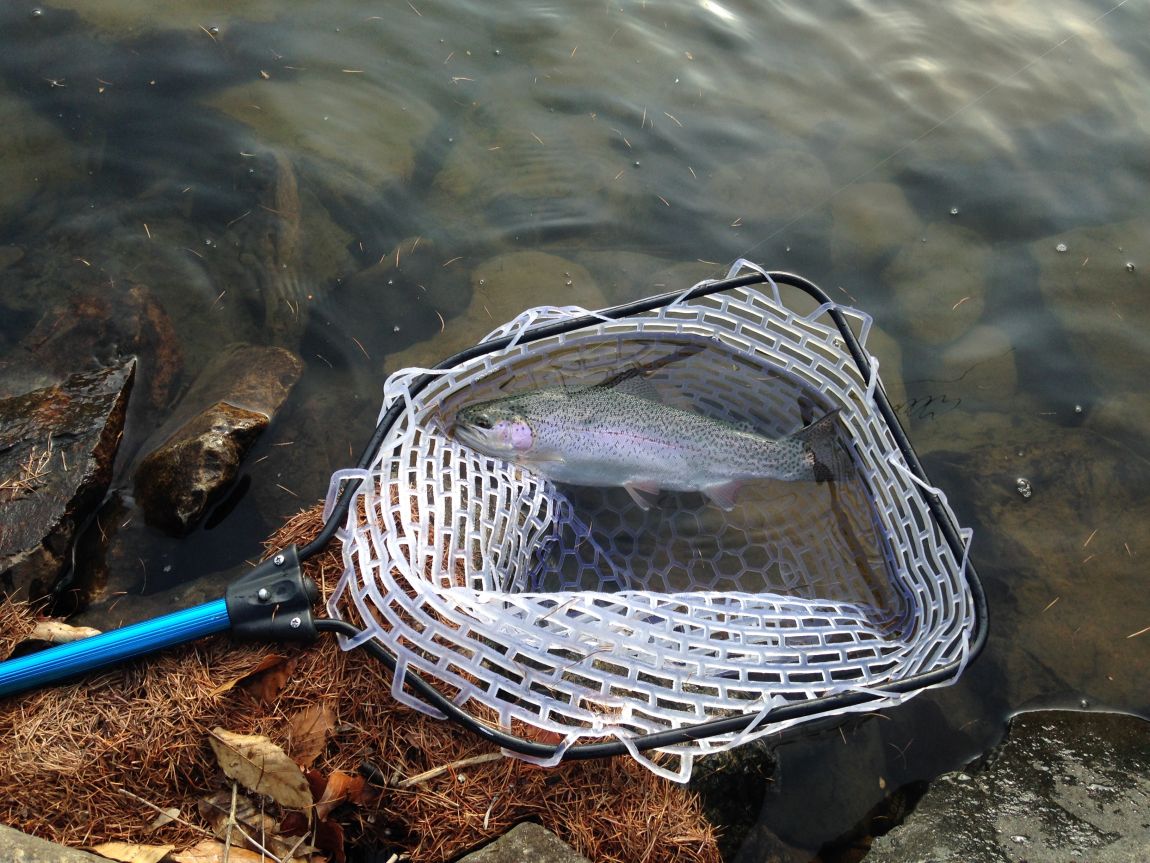 ���� 012.jpg