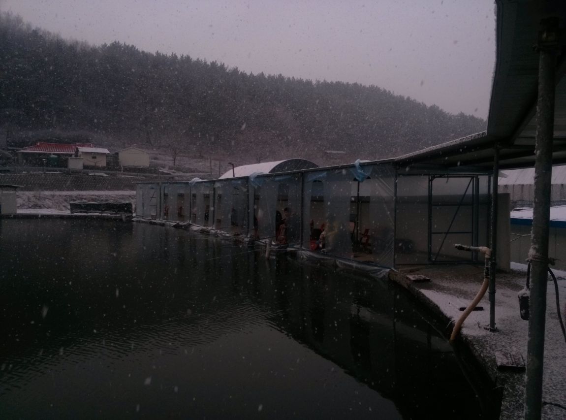 CAM02589.jpg