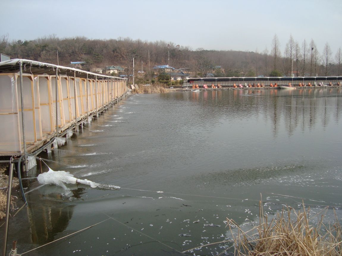 2014-12-19 003.JPG