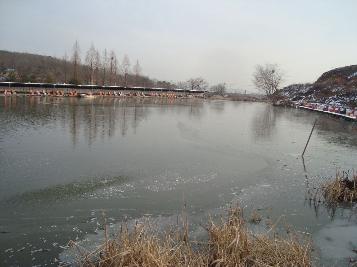 2014-12-19 004.JPG