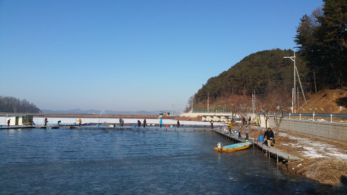 20141221_094748.jpg