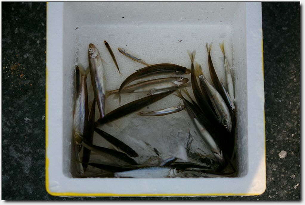 7�������� 16855.jpg