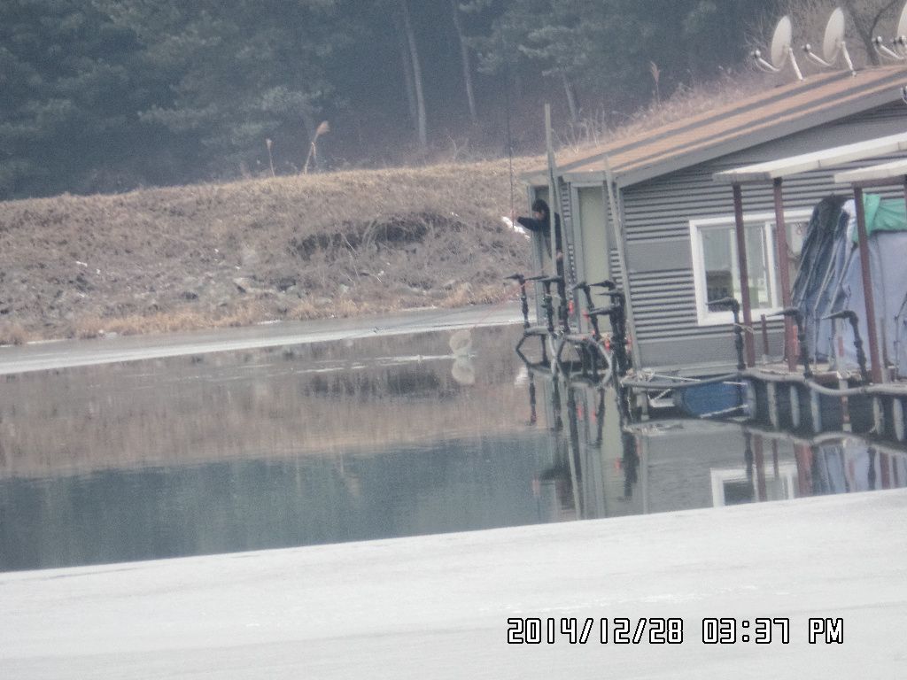 SAM_3392.JPG