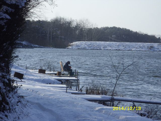 SDC17059.jpg