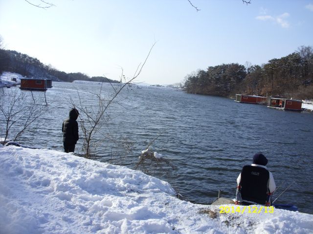 SDC17053.jpg