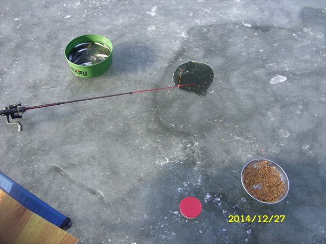 SDC17060.jpg