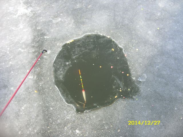 SDC17061.jpg