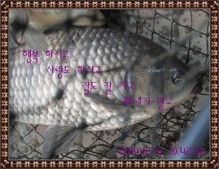 ٹ̱_IMG_0291.JPG