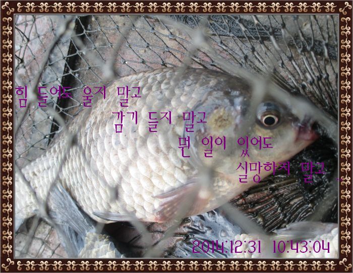 ٹ̱_IMG_0292.JPG