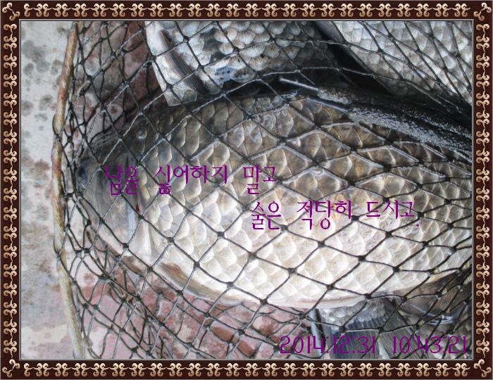 ٹ̱_IMG_0293.JPG