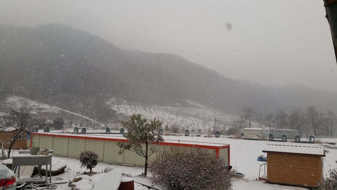 20141231_091928.jpg