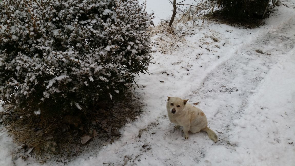 20141231_092437.jpg