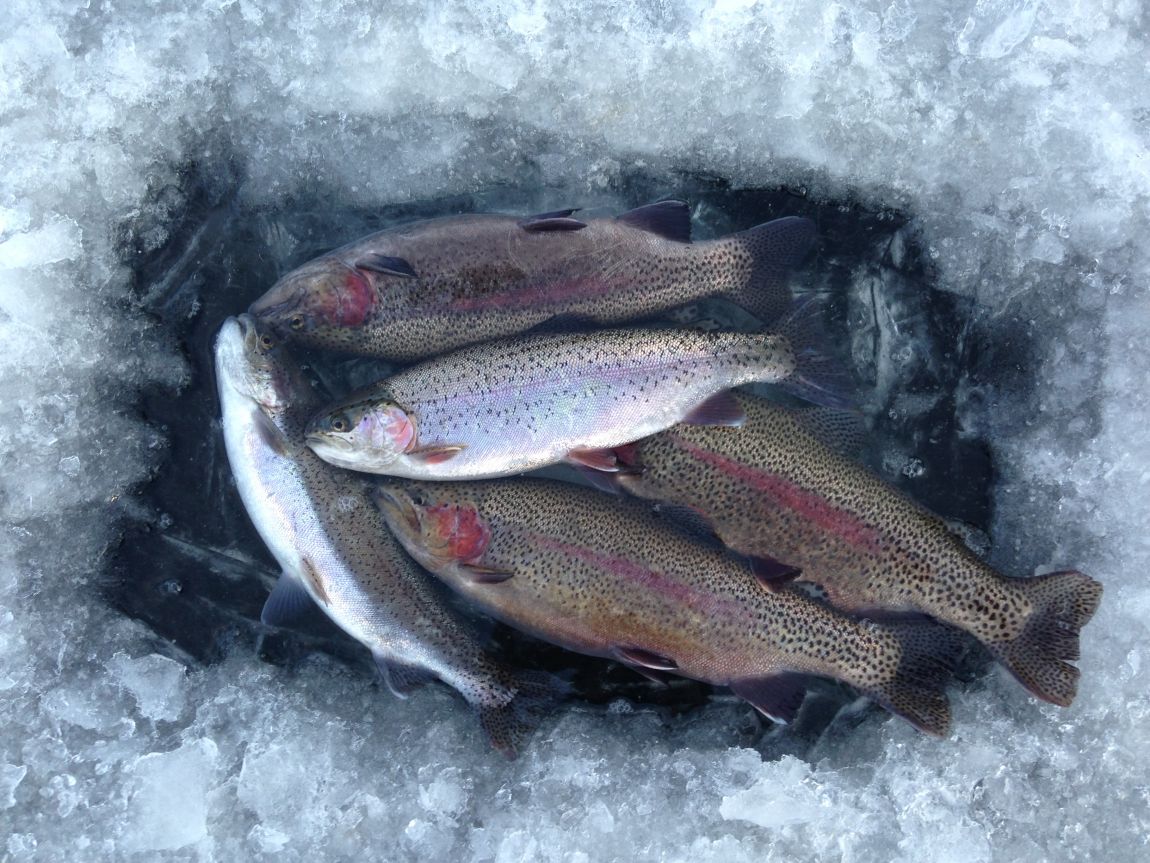 ���� 009.jpg