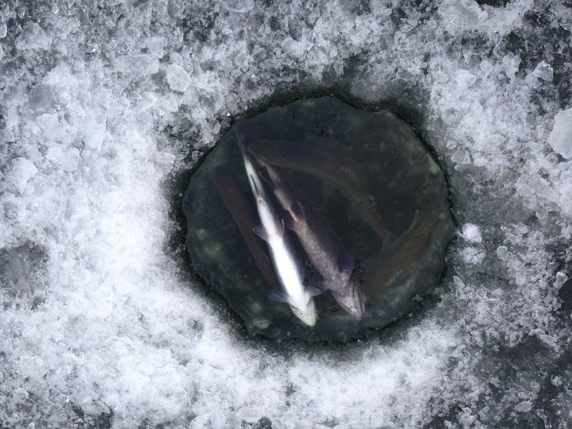 ���� 020.jpg