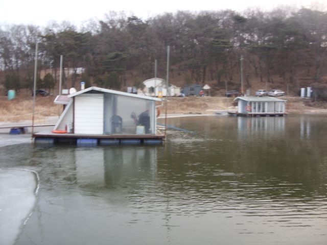 13.JPG