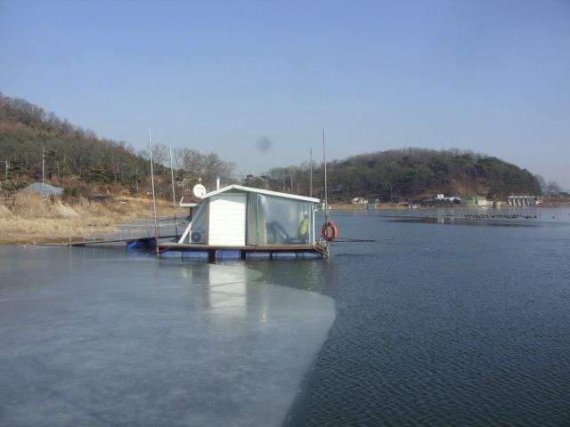 14.JPG