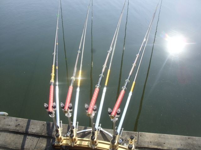 17.JPG