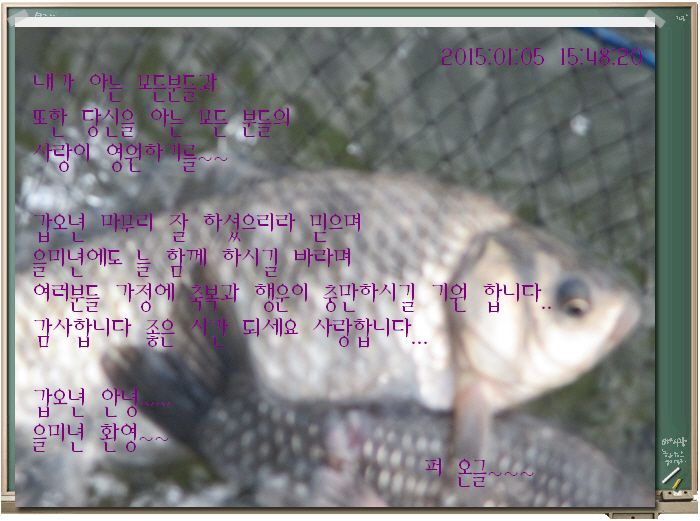 ٹ̱_IMG_0335.JPG
