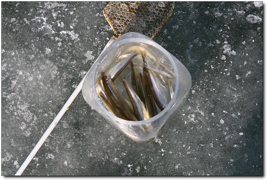 7�������� 17807.jpg