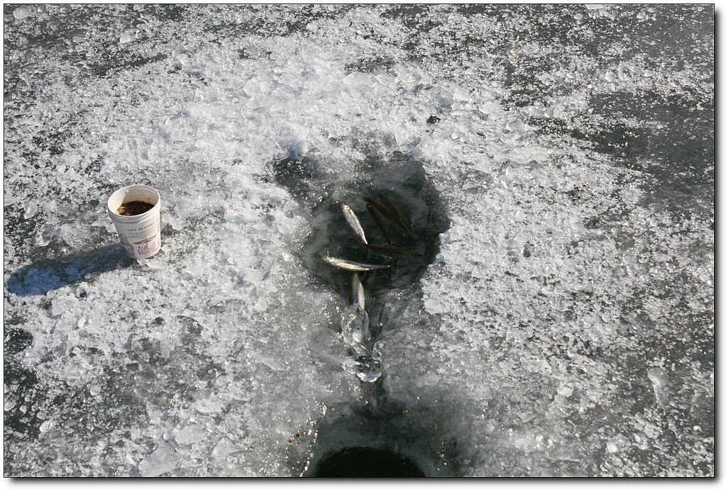 7�������� 17818.jpg