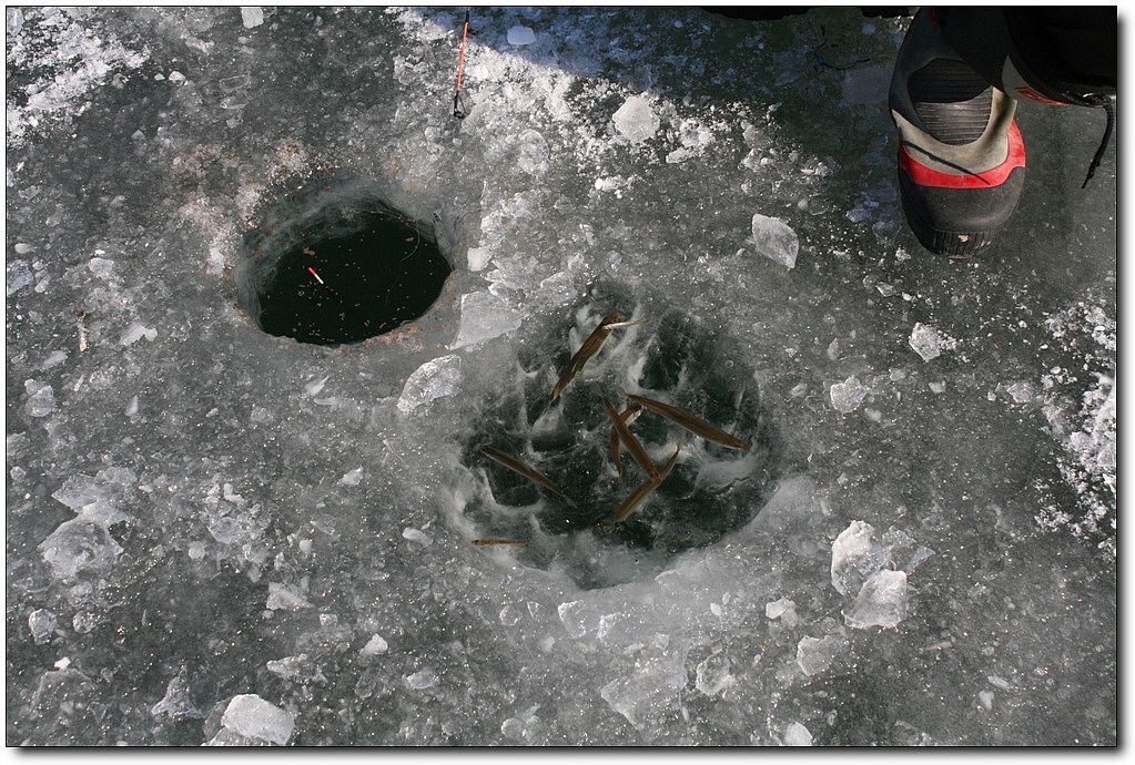 7�������� 17824.jpg