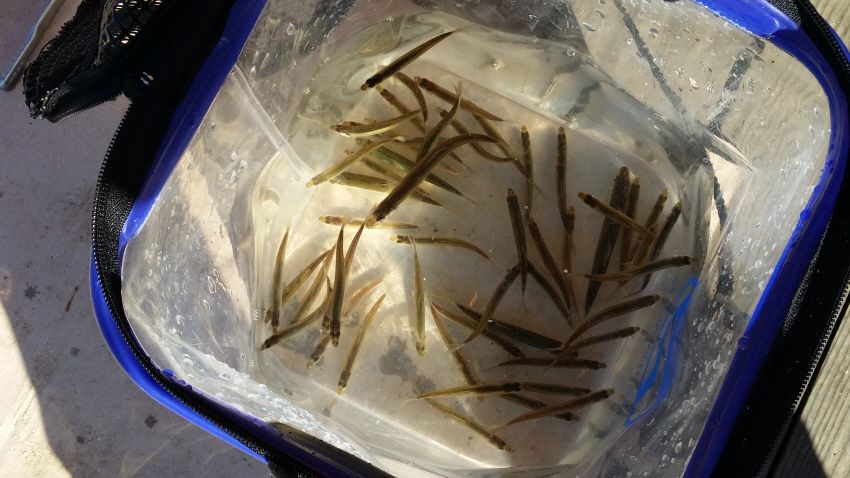 ���� 317.jpg