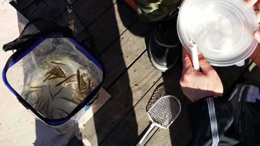 ���� 316.jpg