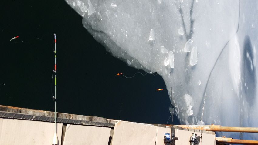 ���� 319.jpg