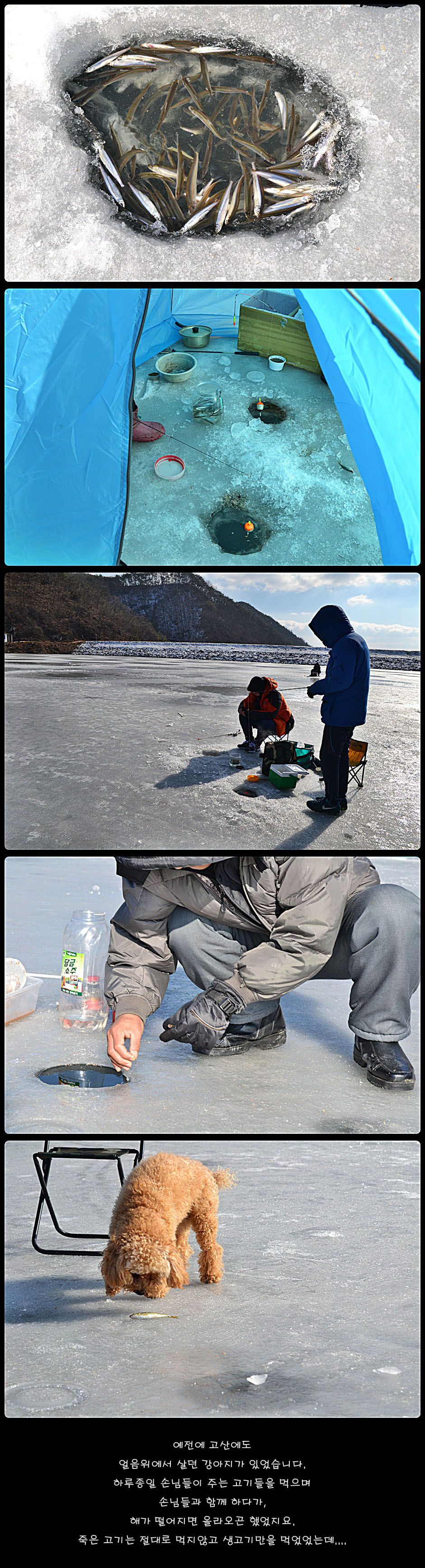 1-8 ����°.jpg