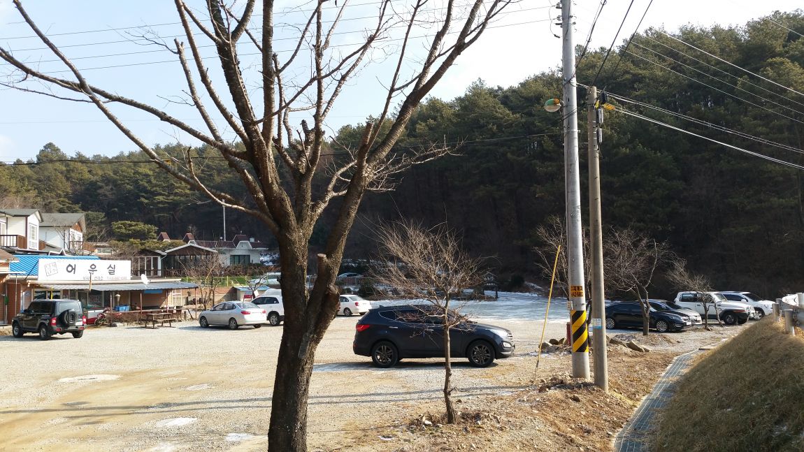 20150111_121956.jpg