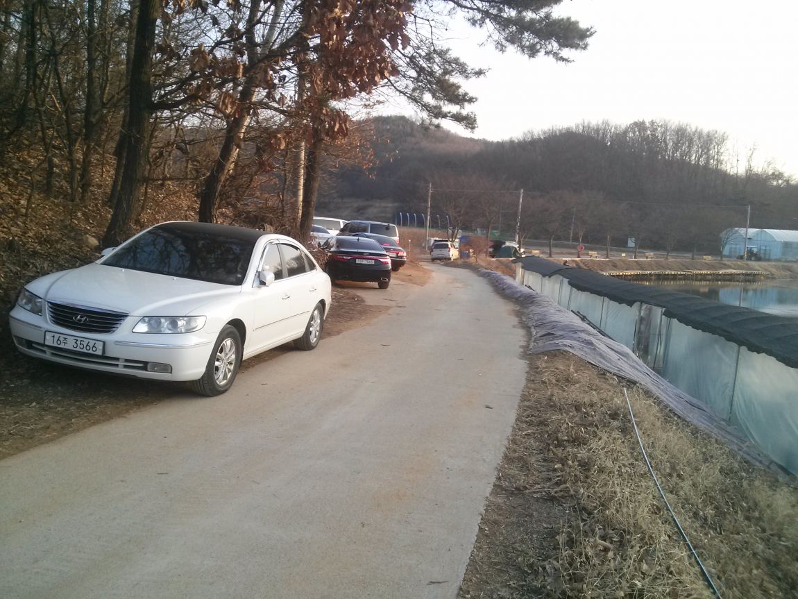 CAM03834.jpg