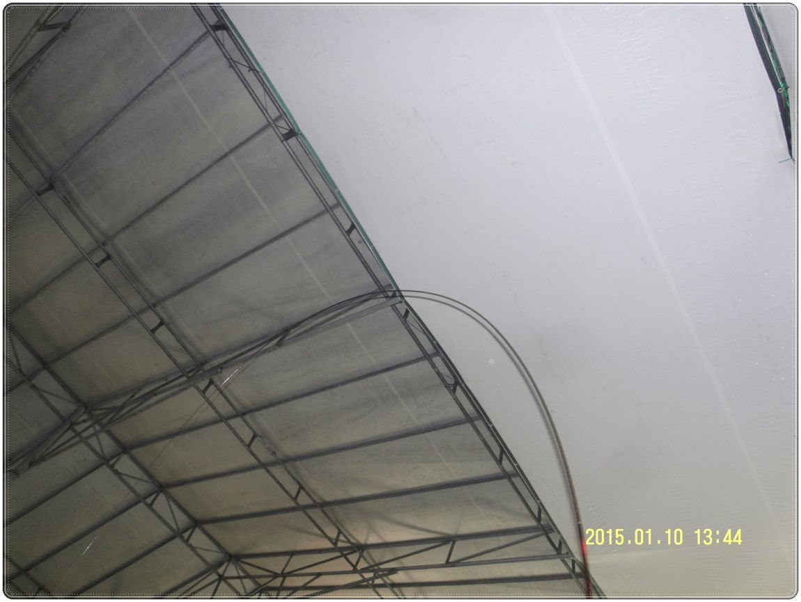 SDC10016.JPG