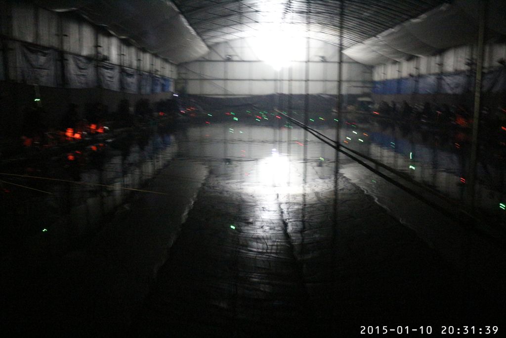 IMG_9092.jpg