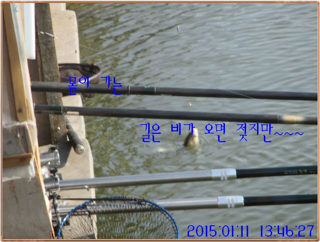 �ٹ̱�_IMG_0347.JPG