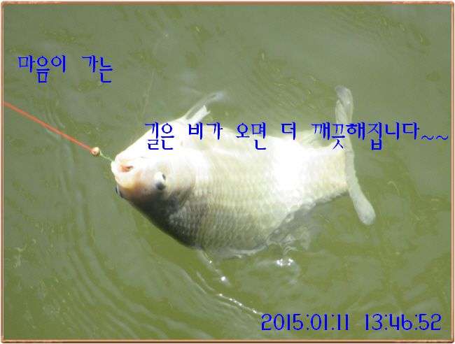 �ٹ̱�_IMG_0348.JPG