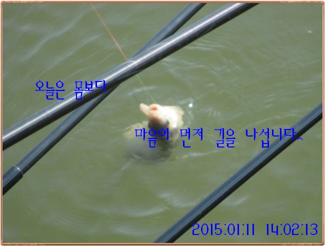 �ٹ̱�_IMG_0351.JPG
