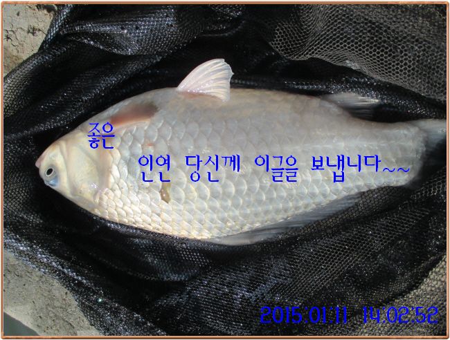 �ٹ̱�_IMG_0352.JPG