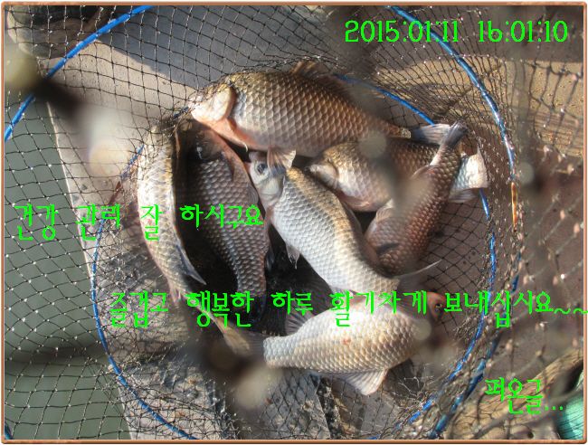 �ٹ̱�_IMG_0353.JPG