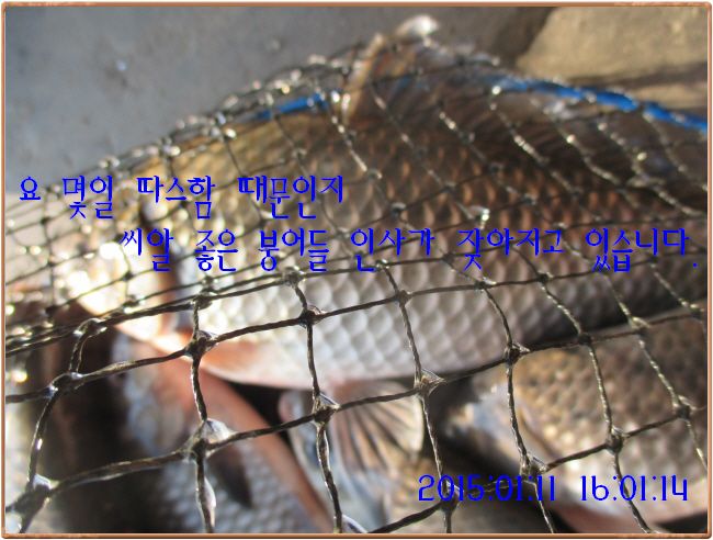 �ٹ̱�_IMG_0354.JPG
