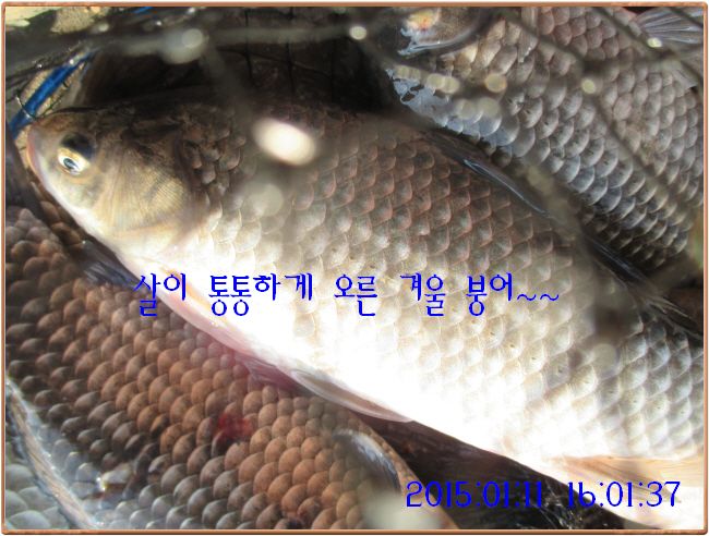 �ٹ̱�_IMG_0357.JPG