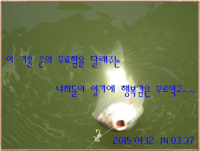 �ٹ̱�_IMG_0359.JPG