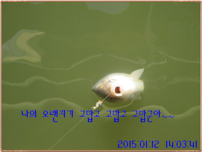�ٹ̱�_IMG_0360.JPG