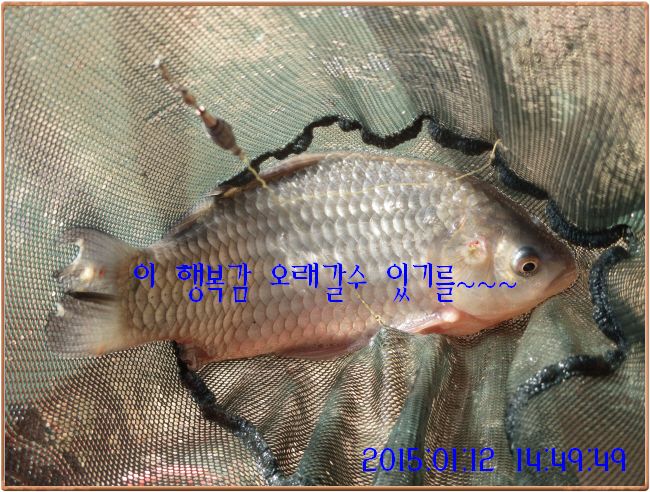 �ٹ̱�_IMG_0361.JPG