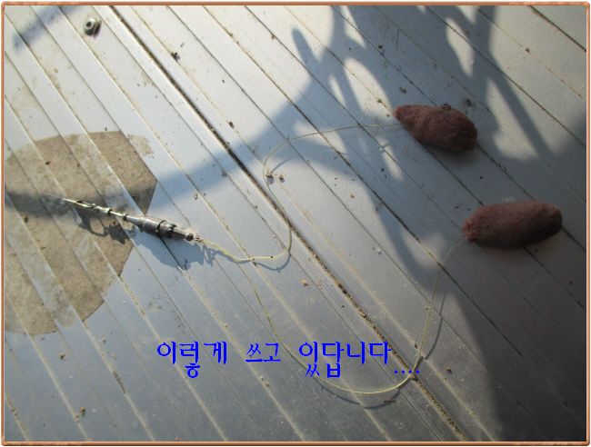 �ٹ̱�_IMG_0362.JPG