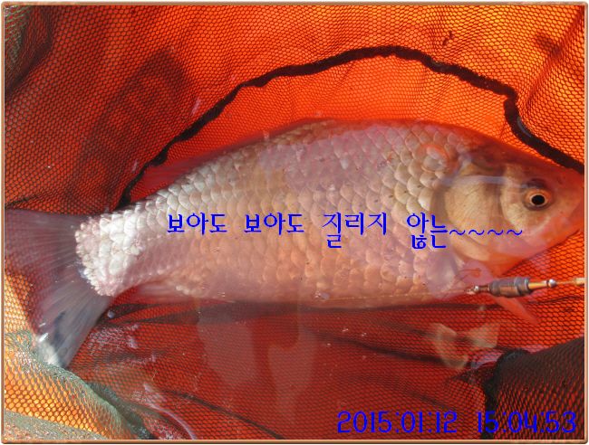 �ٹ̱�_IMG_0364.JPG