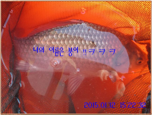 �ٹ̱�_IMG_0365.JPG