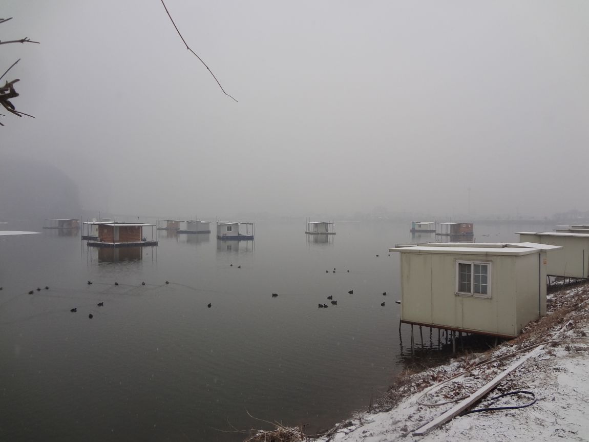 DSC02585.JPG