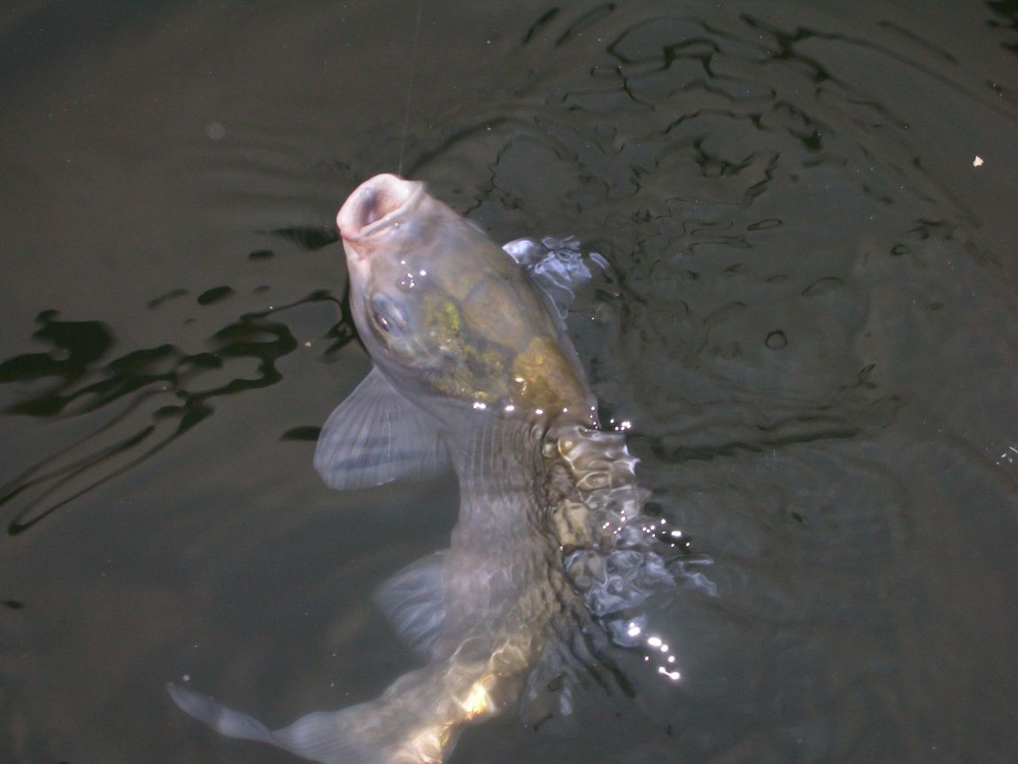 DSCN1867.JPG